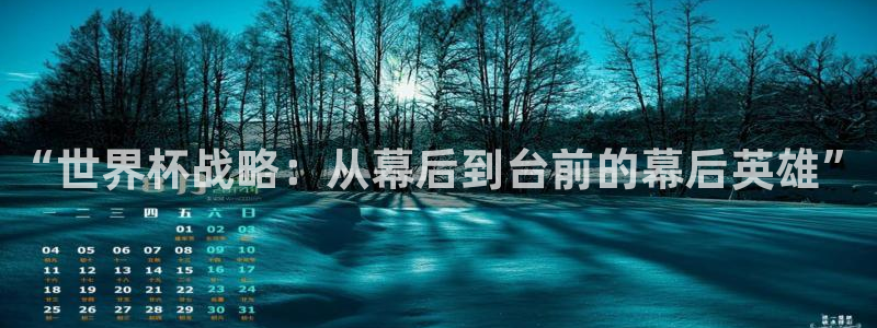 世界杯官网入口:“世界杯战略:从幕后到台前的幕后英雄”