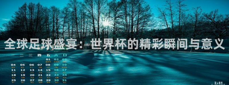 世界杯欧洲区世预赛赛程:全球足球盛宴:世界杯的精彩瞬间与意义