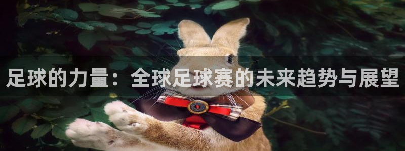 世界杯在线直播:足球的力量:全球足球赛的未来趋势与展望