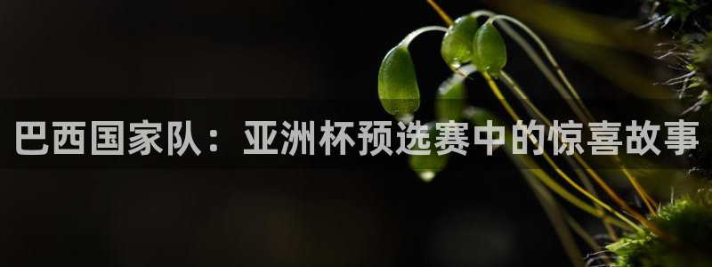 世界杯预选赛欧洲区赛程:巴西国家队:亚洲杯预选赛中的惊喜故事