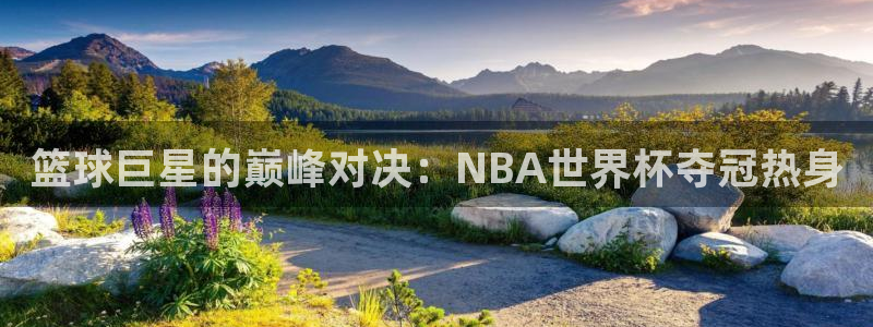 世界杯对阵图2026:篮球巨星的巅峰对决:NBA世界杯夺冠热身
