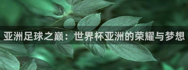 世界杯决赛直播:亚洲足球之巅:世界杯亚洲的荣耀与梦想
