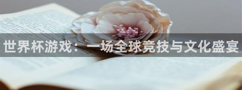 2026男足世界杯:世界杯游戏:一场全球竞技与文化盛宴